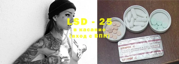 эйфоретик Богданович