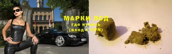 PSILOCYBIN Богородск