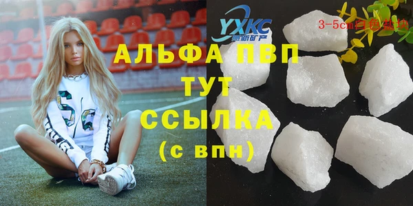 эйфоретик Богданович