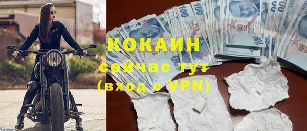 эйфоретик Богданович