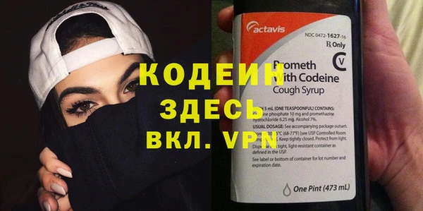 эйфоретик Богданович